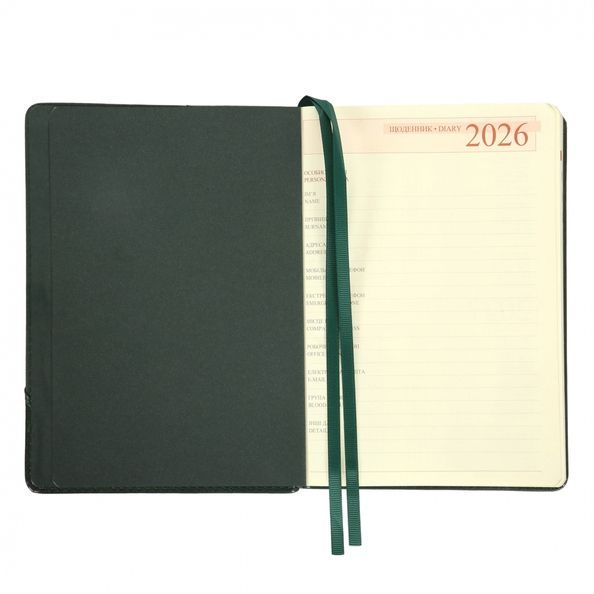Щоденник А5 Leo Planner датований 2026 "Whisky", твердий, зелений, 368 сторінок 252669 фото