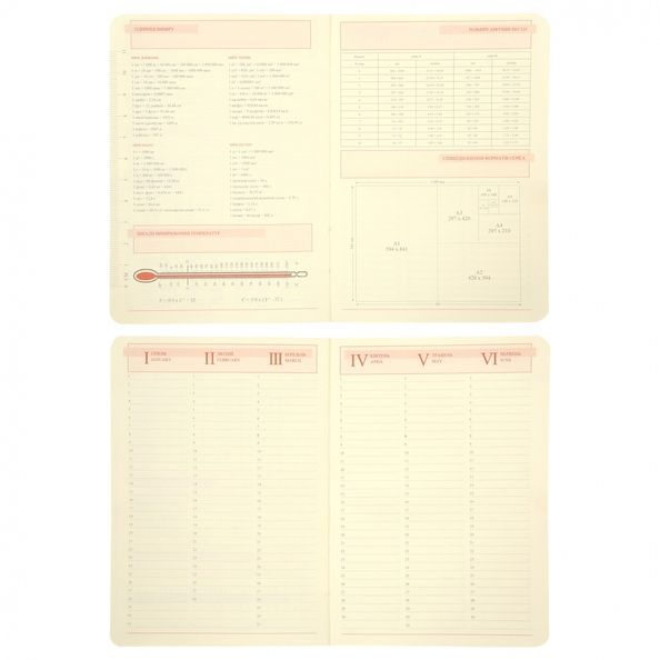 Щоденник А5 Leo Planner датований 2026 "Whisky", твердий, коричневий, 368 сторінок 252670 фото