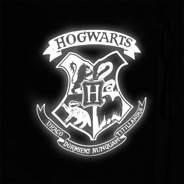 Рюкзак Kite Education teens Harry Potter HP25-949M HP25-949M фото