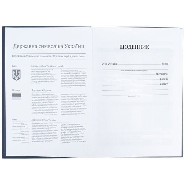 Щоденник шкільний Kite K26-262-12, тверда обкладинка, сірий K26-262-12 фото