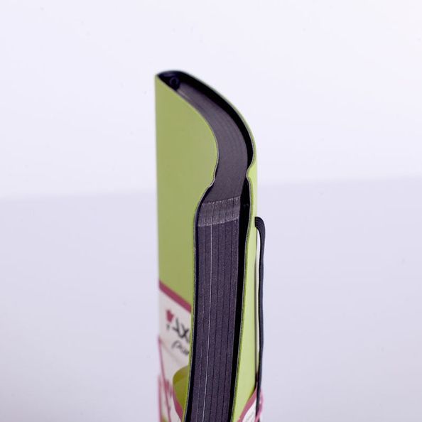 Книга записна Partner Soft, 125*195, 96арк, кліт, салатова 8206-09-A фото