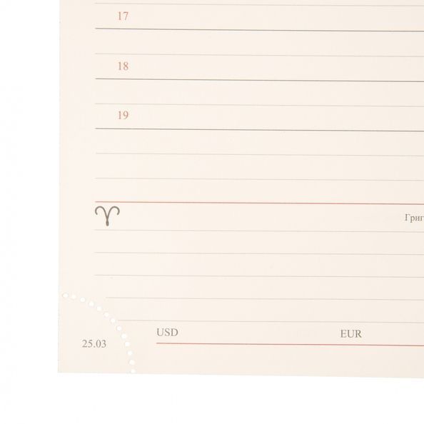 Щоденник А5 Leo Planner датований 2026 "Velvet", м'який, чорний, 368 сторінок 252638 фото