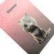 Щоденник шкільний YES інтегральний Meow 911622 фото 3