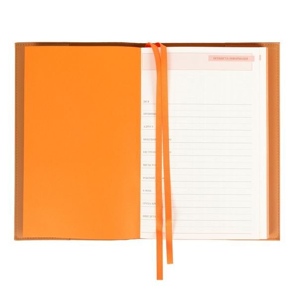 Щоденник діловий А5 Leo Planner недатований "Amber", м'який, теракотовий, 320 сторінок 252771 фото