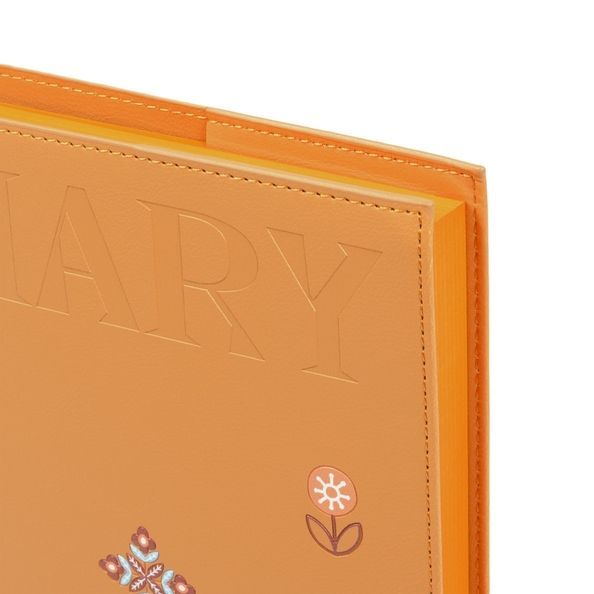 Щоденник діловий А5 Leo Planner недатований "Amber", м'який, теракотовий, 320 сторінок 252771 фото