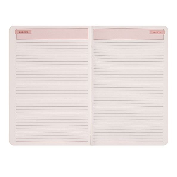 Щоденник діловий А5 Leo Planner недатований "Amber", м'який, теракотовий, 320 сторінок 252771 фото