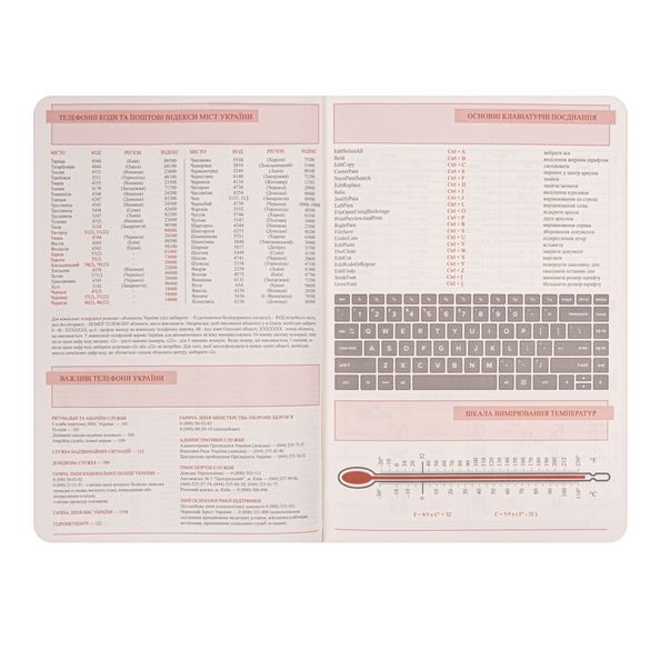 Щоденник діловий А5 Leo Planner недатований "Amber", м'який, теракотовий, 320 сторінок 252771 фото