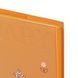 Щоденник діловий А5 Leo Planner недатований "Amber", м'який, теракотовий, 320 сторінок 252771 фото 2