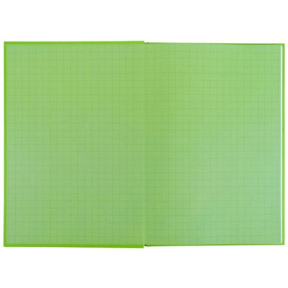 Щоденник шкільний Kite K26-262-16, тверда обкладинка, салатовий K26-262-16 фото