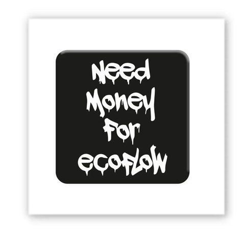 Об'ємна наліпка "Need Ecoflow" SX-228 фото