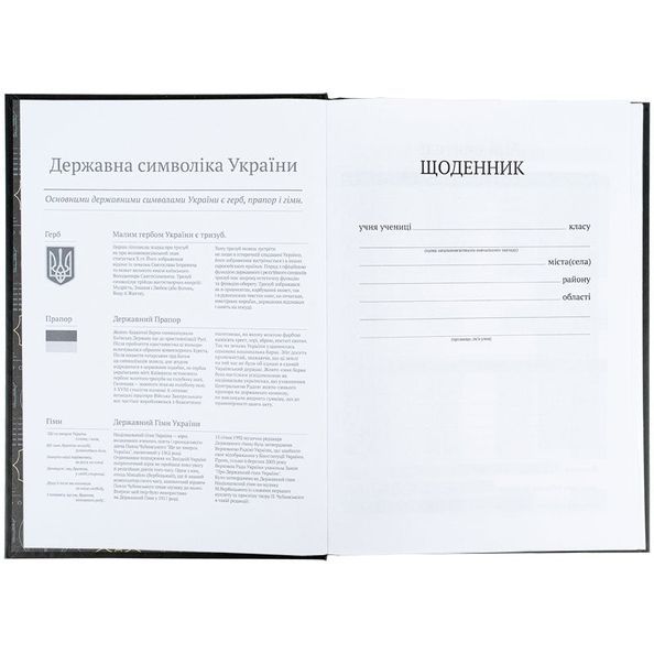 Щоденник шкільний, тверда обкл, DC-1 DC25-262-1 фото