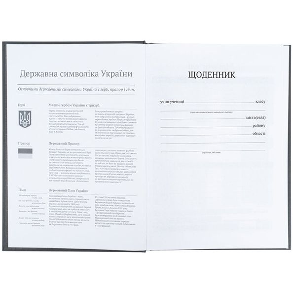 Щоденник шкільний Kite World K25-262-8, тверда обкладинка K25-262-8 фото