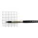 Пензель білка кругла Classic 3049R № 6 коротка ручка KOLOS 4823064900118 фото 2