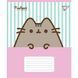 А5/18 кл. Yes Pusheen Candy, зошит учнівський шкільний (5шт.) 767600 фото 2