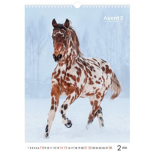Календар настінний А3 2026 р., Horses 8804-26-3-A фото