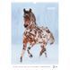 Календар настінний А3 2026 р., Horses 8804-26-3-A фото 3