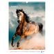Календар настінний А3 2026 р., Horses 8804-26-3-A фото 7