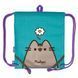 Сумка для взуття Yes SB-10 Pusheen Summer 550502 фото 1