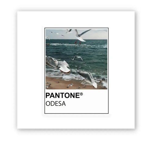 Об'ємна наліпка "Pantone Odesa" SX-244 фото