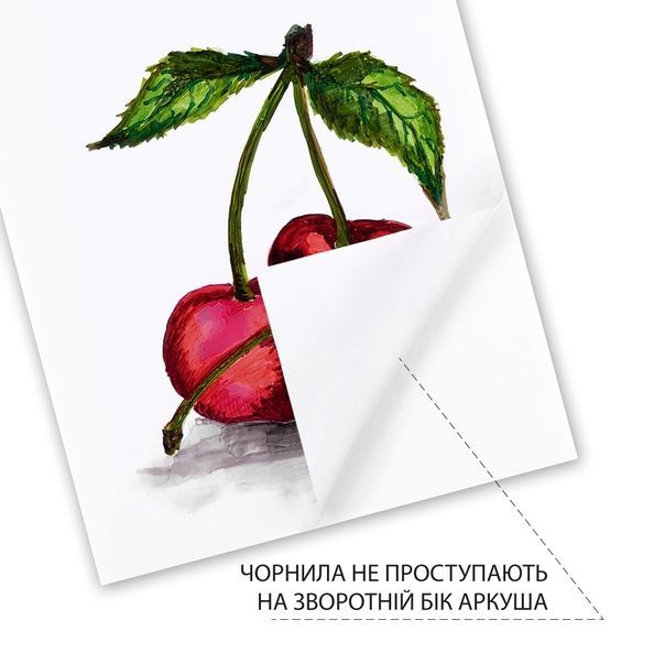 Скетчбук SANTI для спирт. маркерів Fresh 21х21см 25 арк. склейка 130г/м2 743216 фото