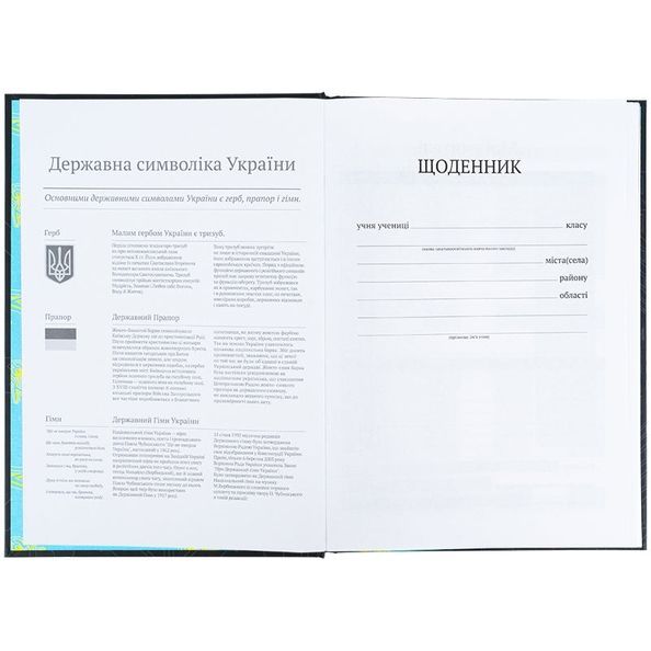 Щоденник шкільний, тверда обкл, Cyber K25-262-4 фото